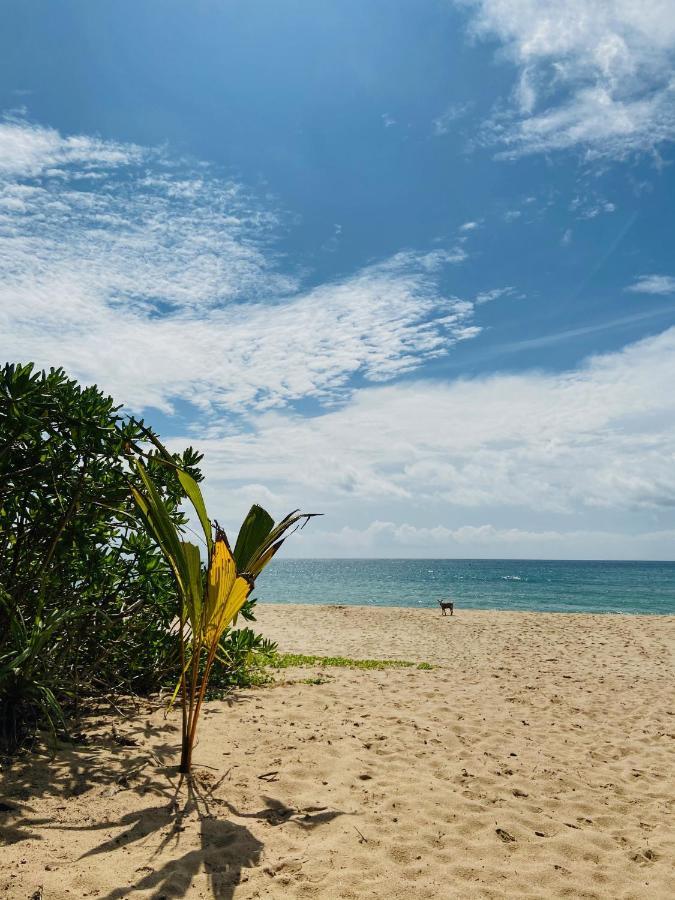 Sanjis The Seaside Cabanas Tangalle Exterior foto